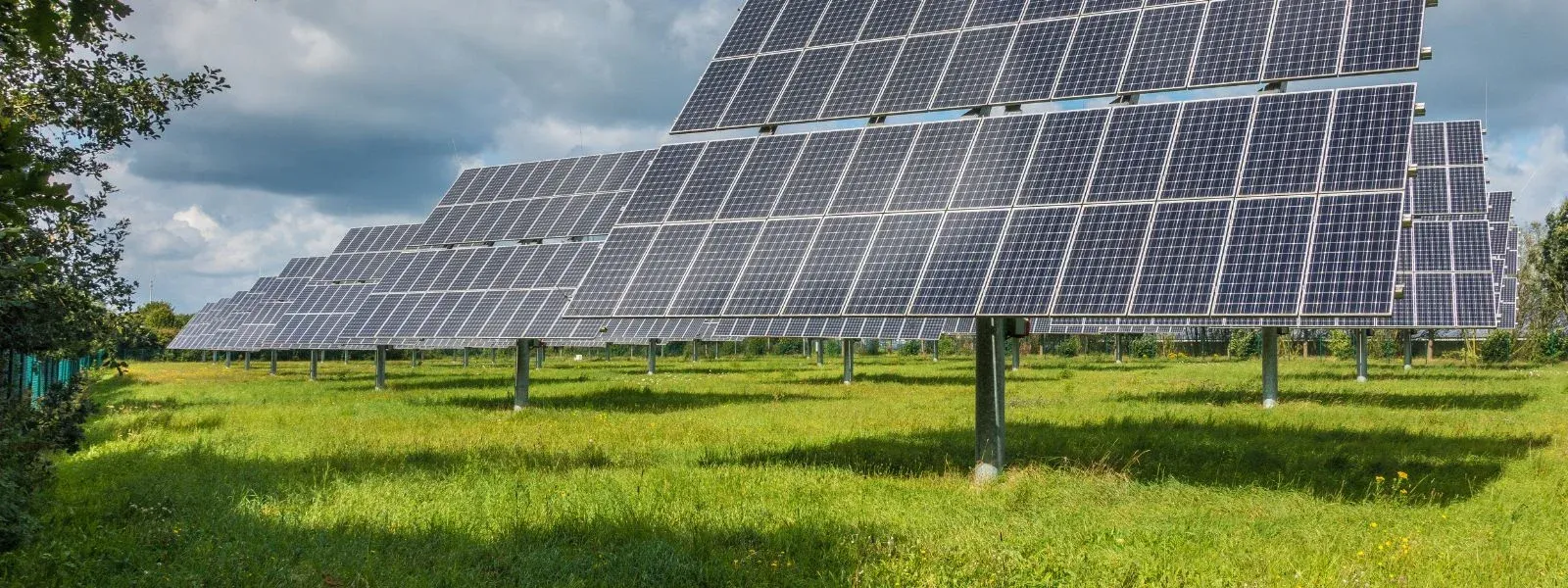 Transformace zelené energie: Vliv solárních panelů